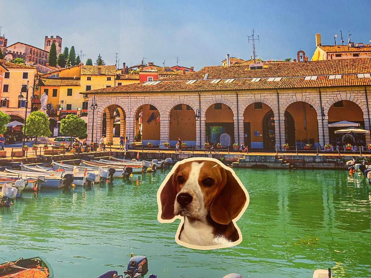 Desenzanoloft Green Lake Court Lägenhet Desenzano del Garda Exteriör bild
